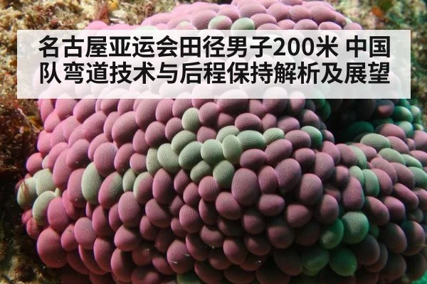 名古屋亚运会田径男子200米 中国队弯道技术与后程保持解析及展望